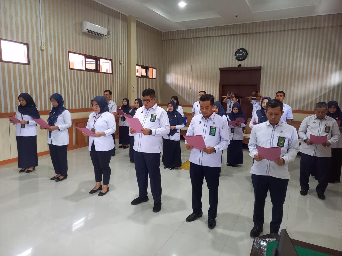 WhatsApp-Image-2025-01-06-at-09.54.37 (1)